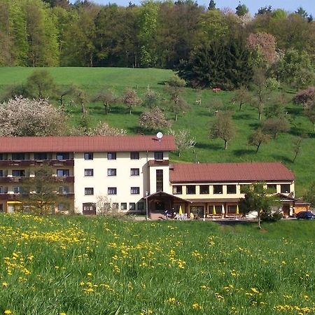 Dornroeschen Hotell Höchst im Odenwald Exteriör bild